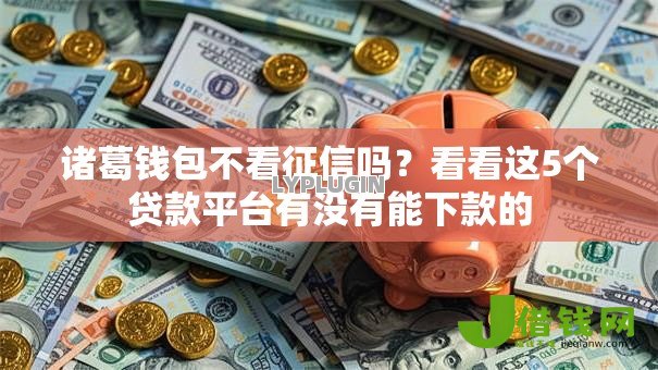 诸葛钱包不看征信吗?看看这5个贷款平台有没有能下款的 诸葛钱包不看征信吗?看看这5个贷款平台有没有能下款的