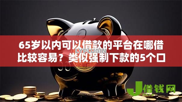 65岁以内可以借款的平台在哪借比较容易?类似强制下款的5个口子参考 65岁以内可以借款的平台在哪借比较容易?类似强制下款的5个口子参考