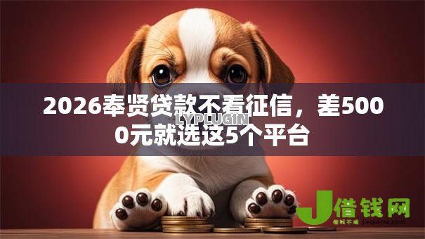 2026奉贤贷款不看征信，差5000元就选这5个平台