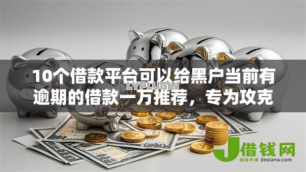 10个借款平台可以给黑户当前有逾期的借款一万推荐，专为攻克信用卡被拒从哪借款难题