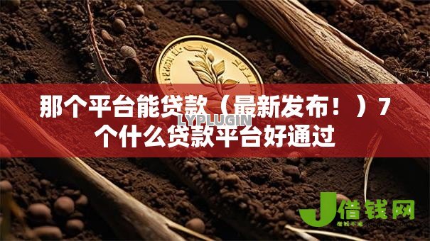 那个平台能贷款（最新发布！）7个什么贷款平台好通过