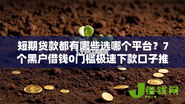 短期贷款都有哪些选哪个平台?7个黑户借钱0门槛极速下款口子推荐 短期贷款都有哪些选哪个平台?7个黑户借钱0门槛极速下款口子推荐