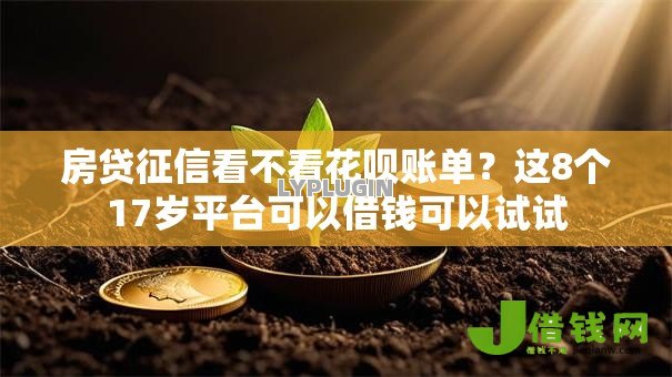 房贷征信看不看花呗账单？这8个17岁平台可以借钱可以试试