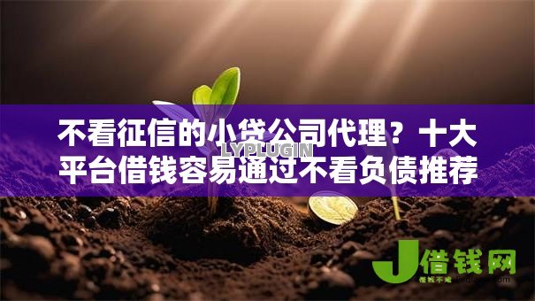 不看征信的小贷公司代理？十大平台借钱容易通过不看负债推荐