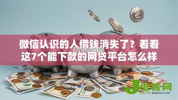 微信认识的人借钱消失了?看看这7个能下款的网贷平台怎么样 微信认识的人借钱消失了?看看这7个能下款的网贷平台怎么样