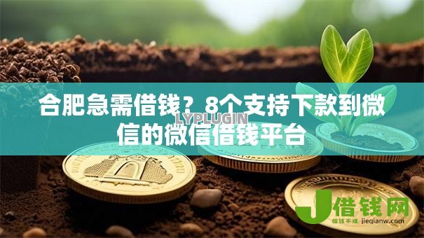 合肥急需借钱?8个支持下款到微信的微信借钱平台 合肥急需借钱?8个支持下款到微信的微信借钱平台