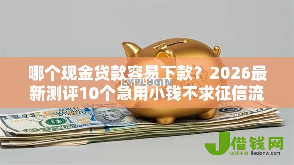 哪个现金贷款容易下款？2026最新测评10个急用小钱不求征信流水轻松贷的平台