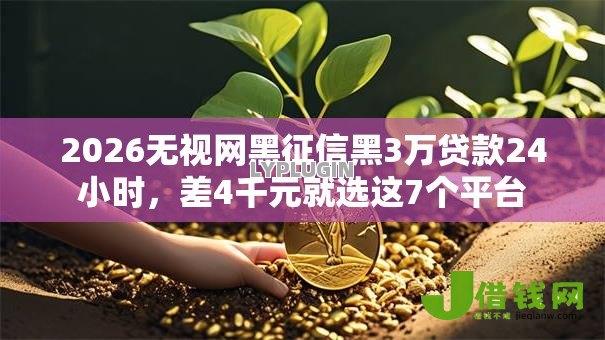 2026无视网黑征信黑3万贷款24小时,差4千元就选这7个平台 2026无视网黑征信黑3万贷款24小时,差4千元就选这7个平台