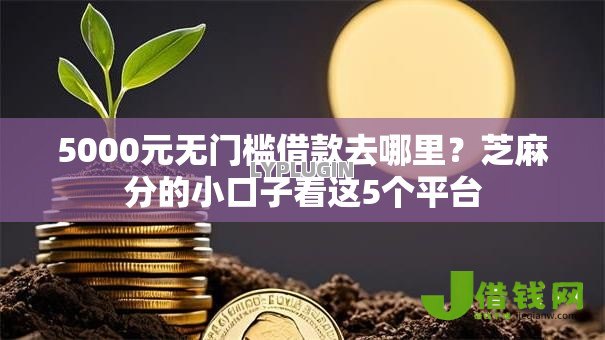 5000元无门槛借款去哪里？芝麻分的小口子看这5个平台