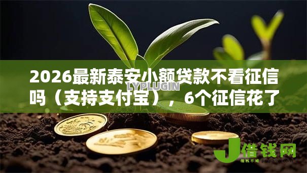 2026最新泰安小额贷款不看征信吗(支持支付宝),6个征信花了可以用的借款平台无私分享 2026最新泰安小额贷款不看征信吗(支持支付宝),6个征信花了可以用的借款平台无私分享