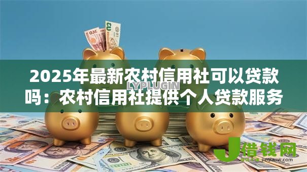 2025年最新农村信用社可以贷款吗：农村信用社提供个人贷款服务吗