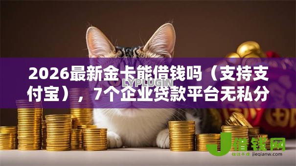 2026最新金卡能借钱吗（支持支付宝），7个企业贷款平台无私分享