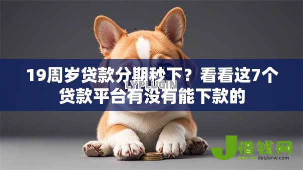 19周岁贷款分期秒下？看看这7个贷款平台有没有能下款的