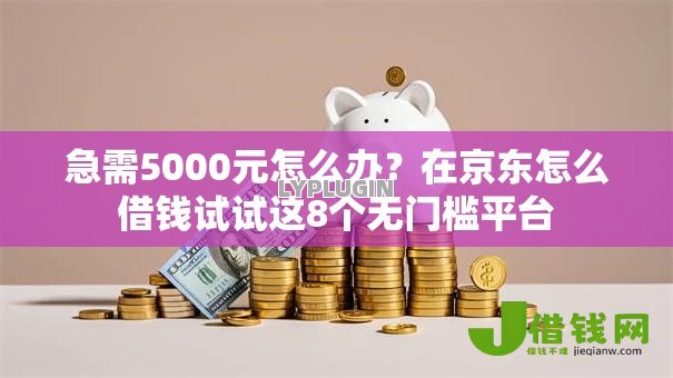 急需5000元怎么办？在京东怎么借钱试试这8个无门槛平台