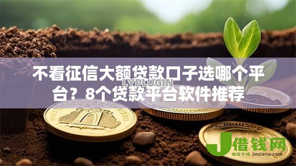 不看征信大额贷款口子选哪个平台？8个贷款平台软件推荐