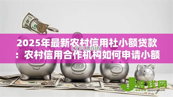 2025年最新农村信用社小额贷款：农村信用合作机构如何申请小额借贷