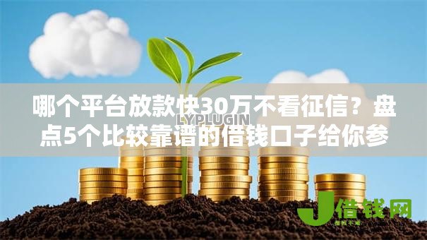 哪个平台放款快30万不看征信?盘点5个比较靠谱的借钱口子给你参考 哪个平台放款快30万不看征信?盘点5个比较靠谱的借钱口子给你参考