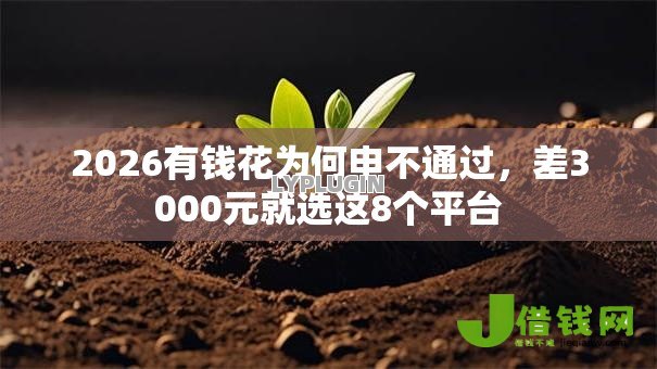 2026有钱花为何申不通过,差3000元就选这8个平台 2026有钱花为何申不通过,差3000元就选这8个平台