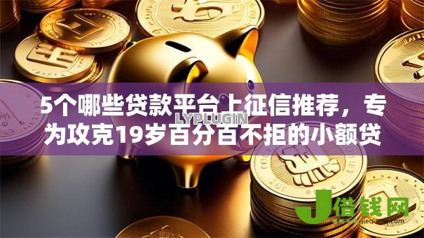 5个哪些贷款平台上征信推荐，专为攻克19岁百分百不拒的小额贷款难题