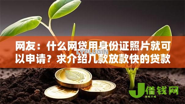 网友：什么网贷用身份证照片就可以申请？求介绍几款放款快的贷款平台