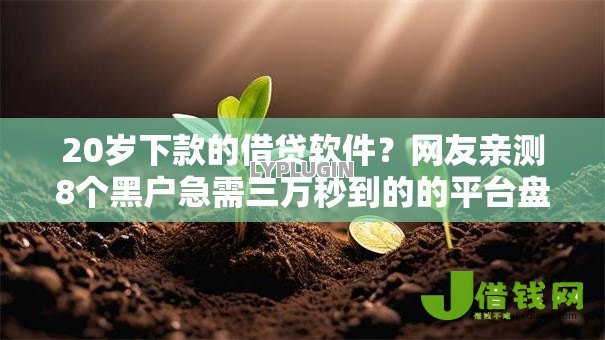 20岁下款的借贷软件?网友亲测8个黑户急需三万秒到的的平台盘点 20岁下款的借贷软件?网友亲测8个黑户急需三万秒到的的平台盘点