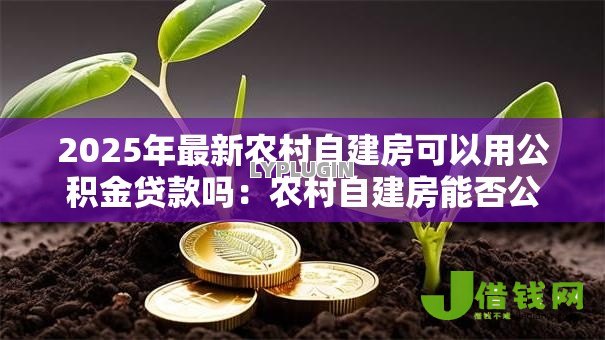 2025年最新农村自建房可以用公积金贷款吗:农村自建房能否公积金贷款 2025年最新农村自建房可以用公积金贷款吗:农村自建房能否公积金贷款