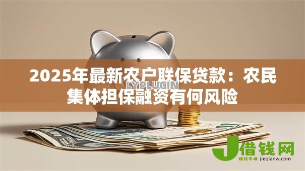 2025年最新农户联保贷款:农民集体担保融资有何风险 2025年最新农户联保贷款:农民集体担保融资有何风险