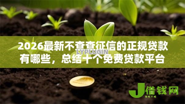2026最新不查查征信的正规贷款有哪些，总结十个免费贷款平台！