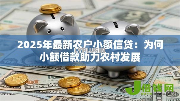 2025年最新农户小额信贷：为何小额借款助力农村发展