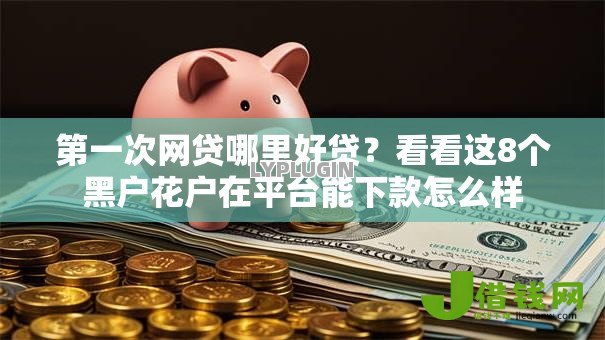 第一次网贷哪里好贷?看看这8个黑户花户在平台能下款怎么样 第一次网贷哪里好贷?看看这8个黑户花户在平台能下款怎么样