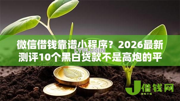 微信借钱靠谱小程序?2026最新测评10个黑白贷款不是高炮的平台 微信借钱靠谱小程序?2026最新测评10个黑白贷款不是高炮的平台