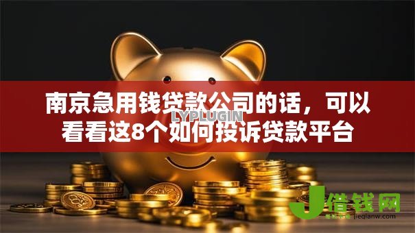 南京急用钱贷款公司的话,可以看看这8个如何投诉贷款平台 南京急用钱贷款公司的话,可以看看这8个如何投诉贷款平台