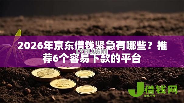 2026年京东借钱紧急有哪些?推荐6个容易下款的平台 2026年京东借钱紧急有哪些?推荐6个容易下款的平台
