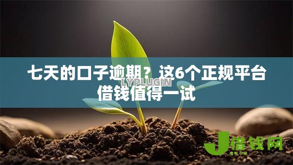 七天的口子逾期？这6个正规平台借钱值得一试