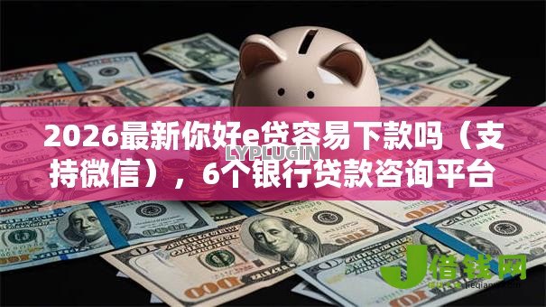 2026最新你好e贷容易下款吗（支持微信），6个银行贷款咨询平台无私分享