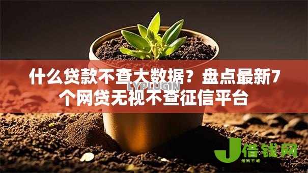 什么贷款不查大数据？盘点最新7个网贷无视不查征信平台