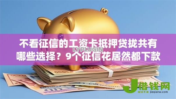 不看征信的工资卡抵押贷拢共有哪些选择?9个征信花居然都下款的app详解 不看征信的工资卡抵押贷拢共有哪些选择?9个征信花居然都下款的app详解