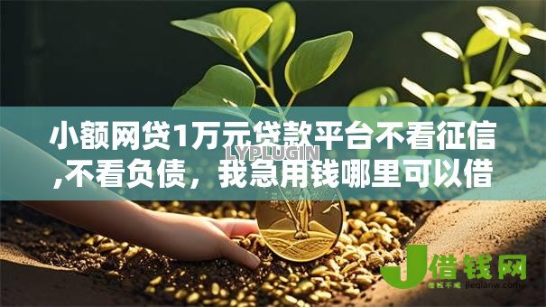 小额网贷1万元贷款平台不看征信,不看负债,我急用钱哪里可以借的7个平台介绍 小额网贷1万元贷款平台不看征信,不看负债,我急用钱哪里可以借的7个平台介绍