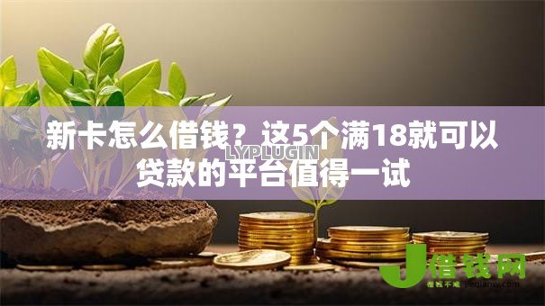 新卡怎么借钱?这5个满18就可以贷款的平台值得一试 新卡怎么借钱?这5个满18就可以贷款的平台值得一试