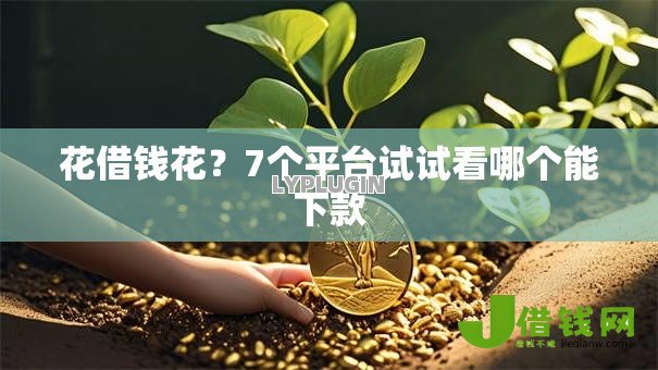 花借钱花？7个平台试试看哪个能下款