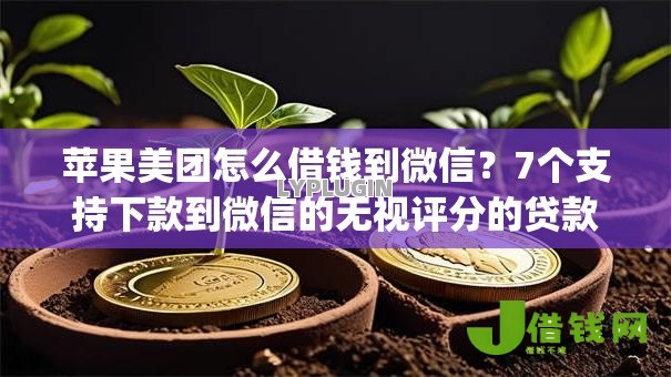 苹果美团怎么借钱到微信?7个支持下款到微信的无视评分的贷款app 苹果美团怎么借钱到微信?7个支持下款到微信的无视评分的贷款app