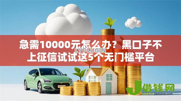 急需10000元怎么办？黑口子不上征信试试这5个无门槛平台