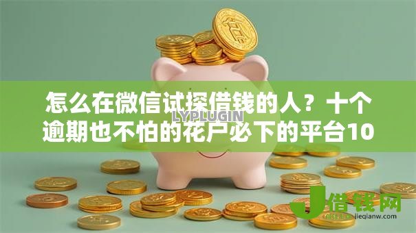 怎么在微信试探借钱的人?十个逾期也不怕的花户必下的平台100%通过率 怎么在微信试探借钱的人?十个逾期也不怕的花户必下的平台100%通过率