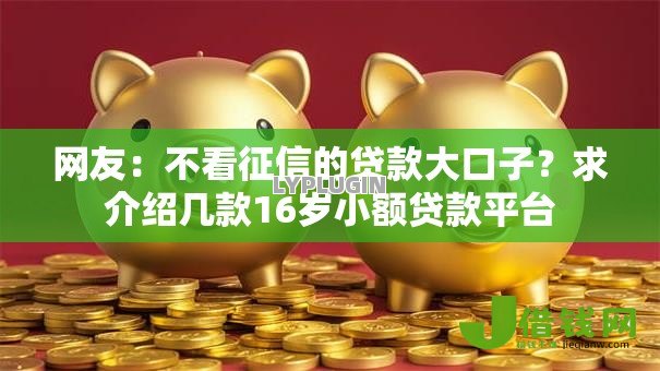网友：不看征信的贷款大口子？求介绍几款16岁小额贷款平台