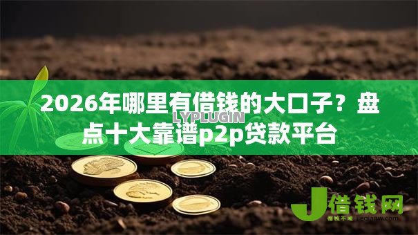2026年哪里有借钱的大口子？盘点十大靠谱p2p贷款平台