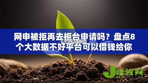 网申被拒再去柜台申请吗？盘点8个大数据不好平台可以借钱给你参考