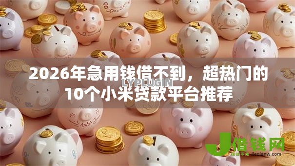 2026年急用钱借不到,超热门的10个小米贷款平台推荐 2026年急用钱借不到,超热门的10个小米贷款平台推荐