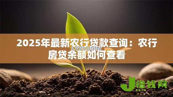 2025年最新农行贷款查询：农行房贷余额如何查看
