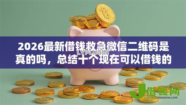 2026最新借钱救急微信二维码是真的吗，总结十个现在可以借钱的平台！