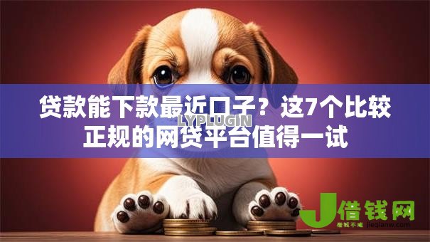 贷款能下款最近口子？这7个比较正规的网贷平台值得一试
